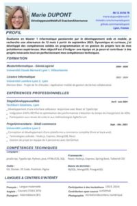 Exemple de CV Alternance : Guide et conseils pour écrire